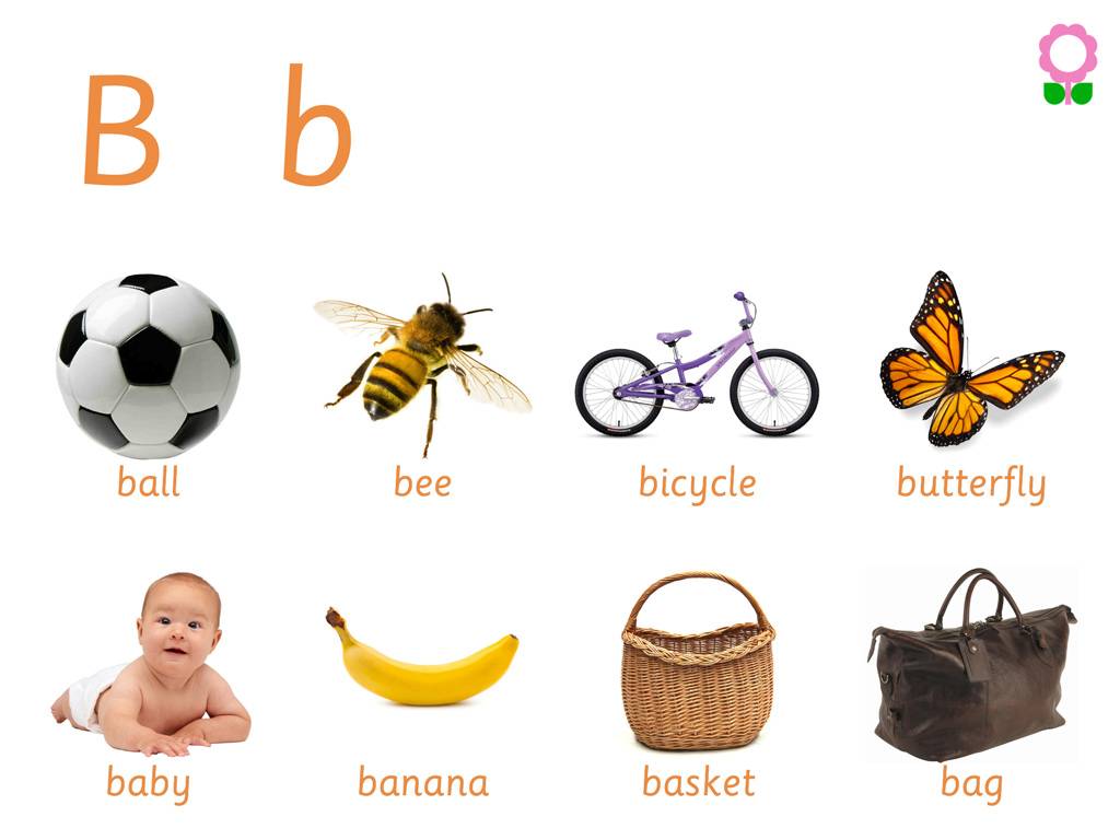 Alphabet-Vocabulary-Book-Preschool-Kids-2
