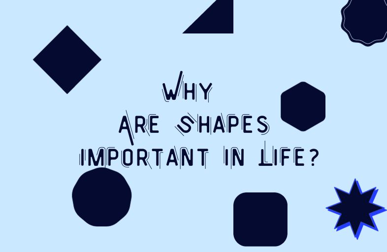 Why Are Shapes Important in Life?
